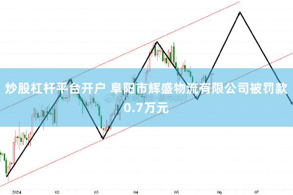 炒股杠杆平台开户 阜阳市辉盛物流有限公司被罚款0.7万元