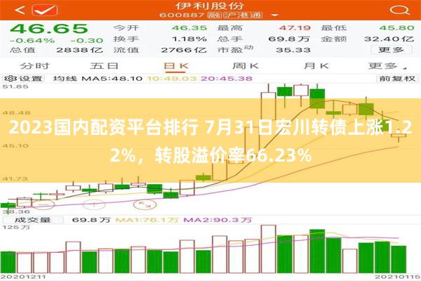 2023国内配资平台排行 7月31日宏川转债上涨1.22%，转股溢价率66.23%