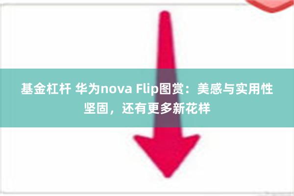 基金杠杆 华为nova Flip图赏：美感与实用性坚固，还有更多新花样