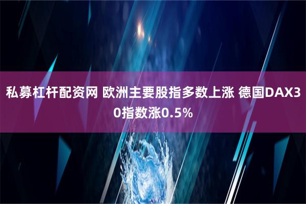 私募杠杆配资网 欧洲主要股指多数上涨 德国DAX30指数涨0.5%